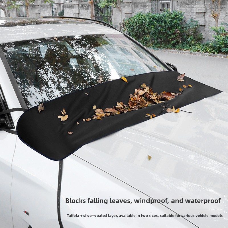 Pelindung daun untuk kaca depa - Car Wiper ulasan dan harga